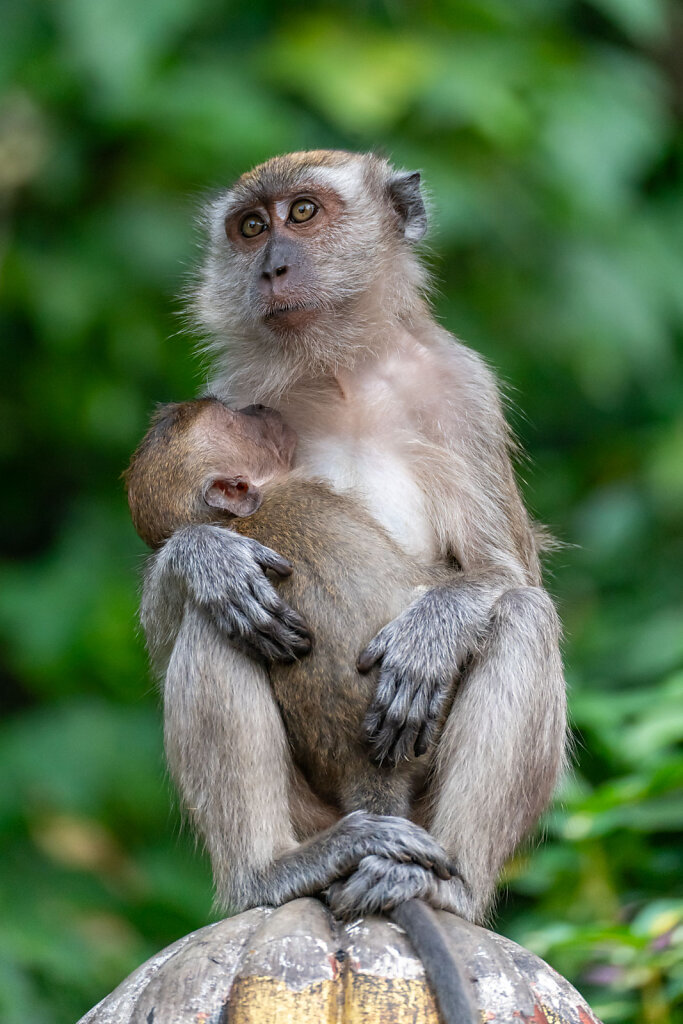 DSC9882-Blog.jpg