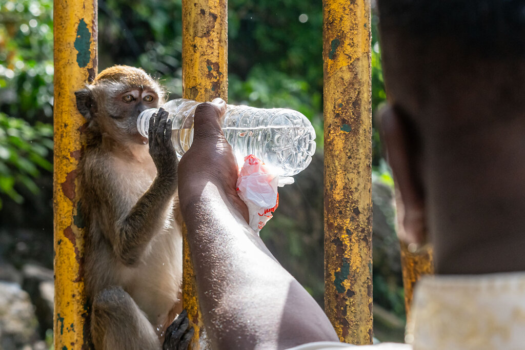 DSC9966-Blog.jpg