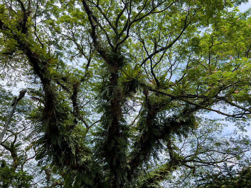 IMG-5932-Blog.jpg
