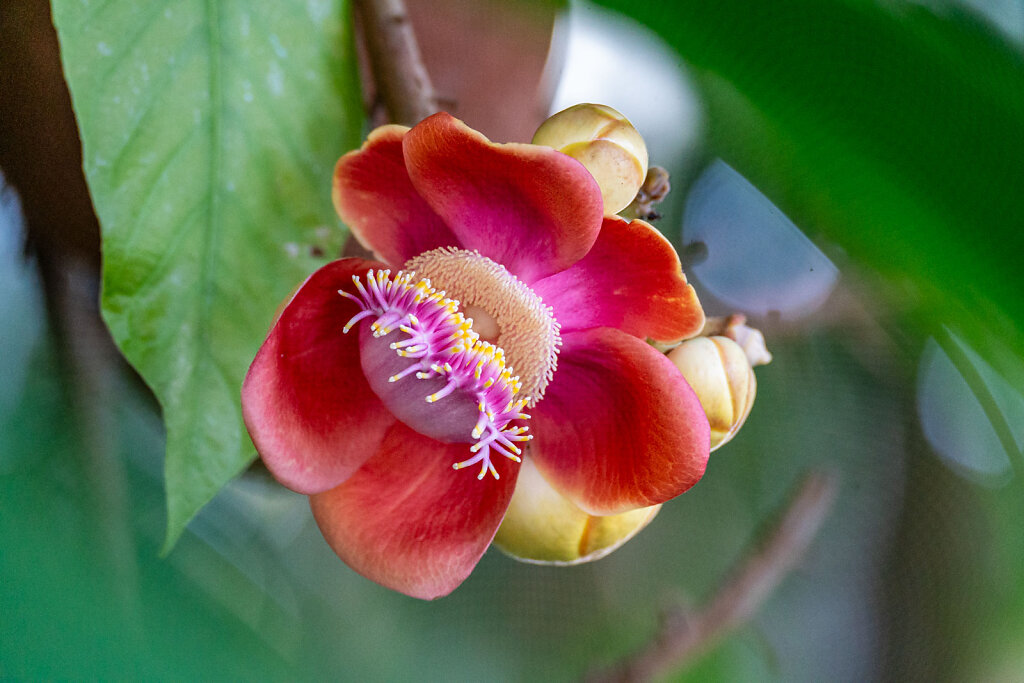 DSC0325-Blog.jpg
