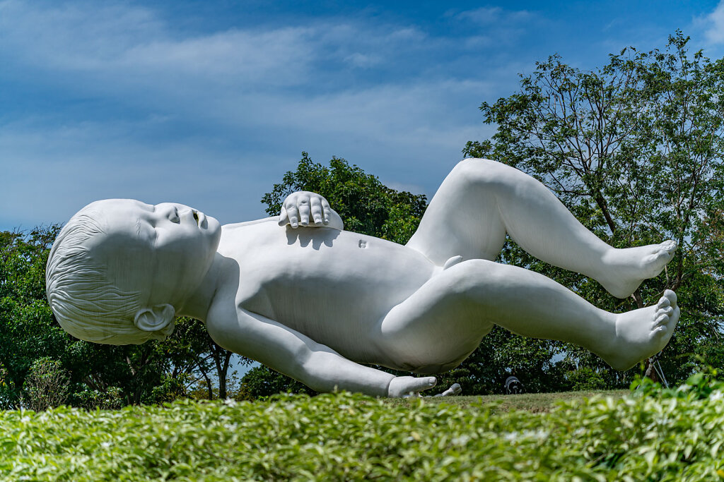 DSC0335-Blog.jpg
