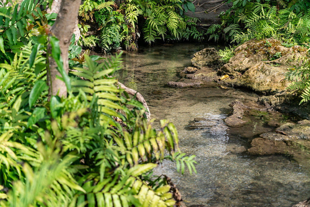 DSC1003-Blog.jpg