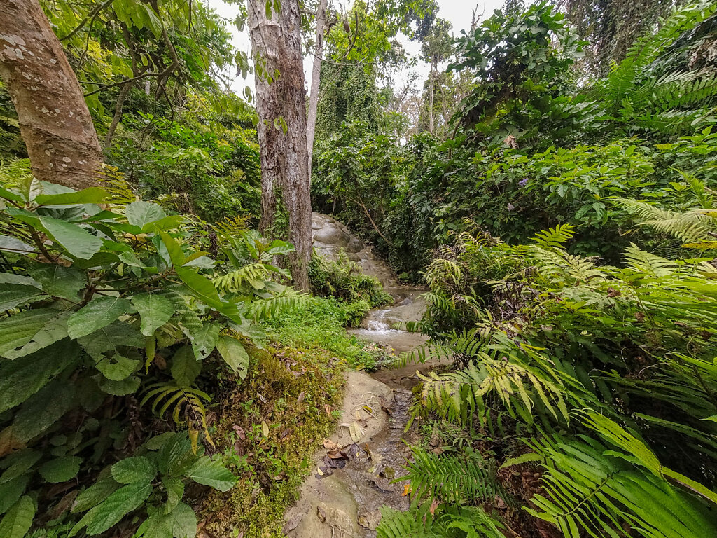 DJI-0813-Blog.jpg