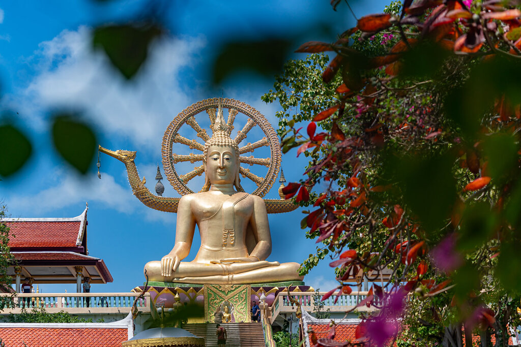 DSC1039-Blog.jpg